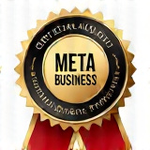Meta Business Partner